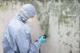 Best Residential Mold Inspection & Testing  in Robbins, NC